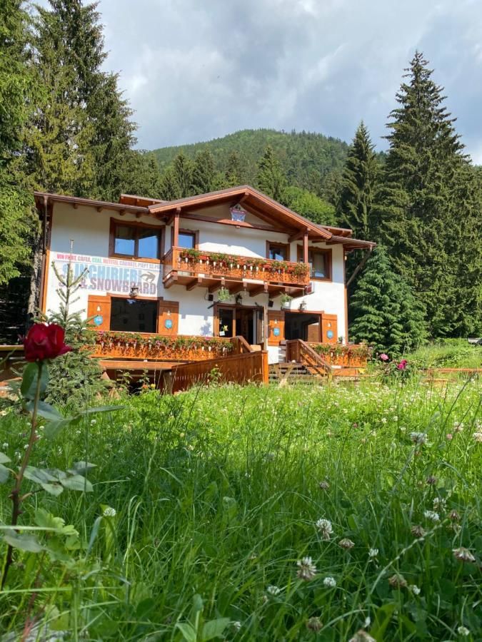 Гостевой дом Bradul Skiland Пояна-Брашов-5