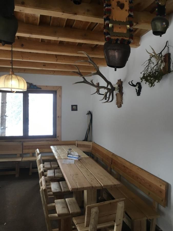 Гостевой дом Bradul Skiland Пояна-Брашов-23